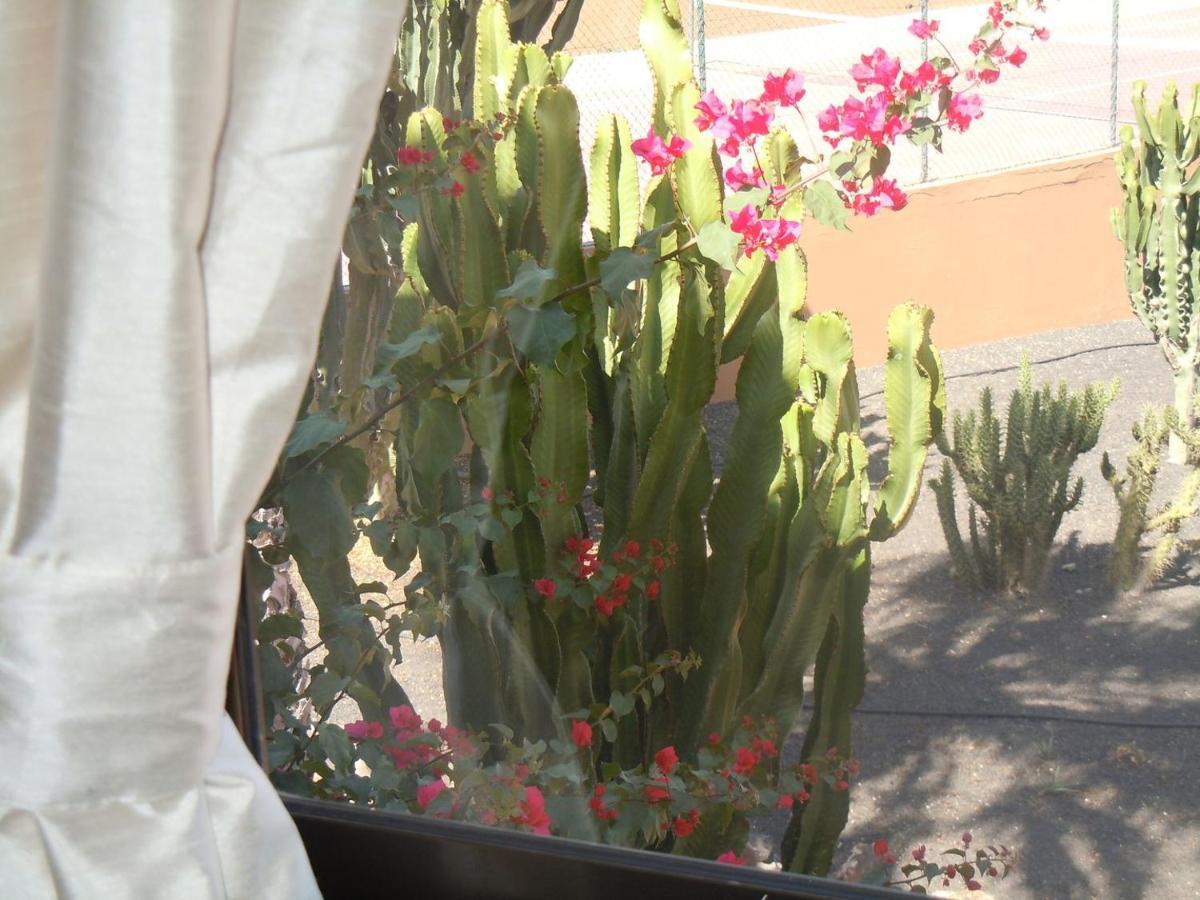 Family Apartment 1 Bedroom With Pool View - Oasis Duna Resort Corralejo Luaran gambar